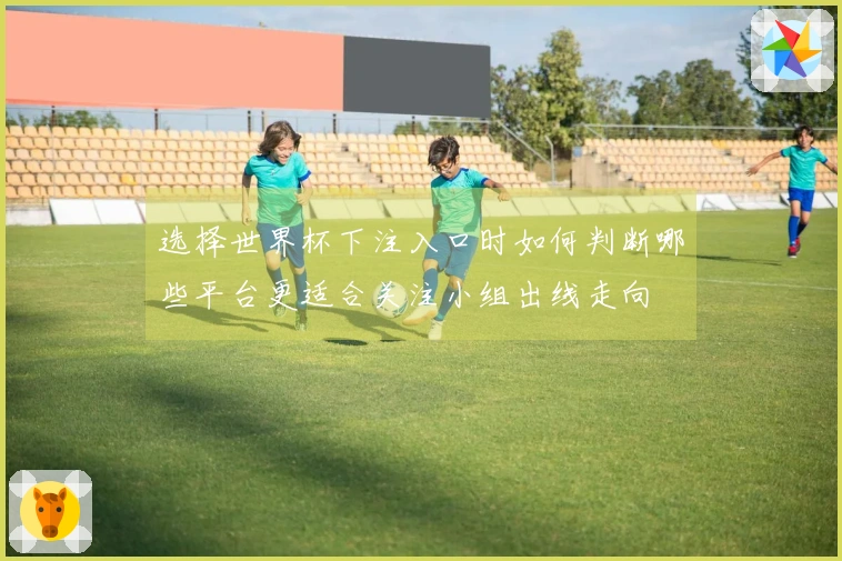 选择世界杯下注入口时如何判断哪些平台更适合关注小组出线走向