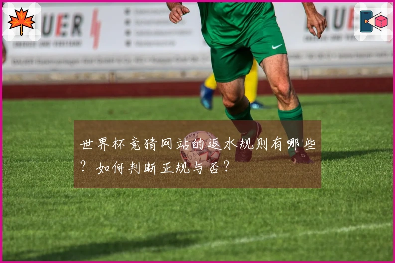 世界杯竞猜网站的返水规则有哪些？如何判断正规与否？