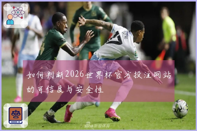 如何判断2026世界杯官方投注网站的可信度与安全性