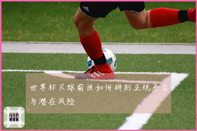 世界杯买球前该如何辨别正规平台与潜在风险