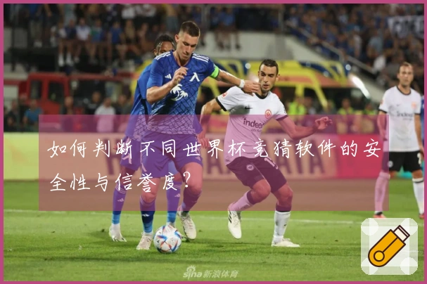 如何判断不同世界杯竞猜软件的安全性与信誉度？