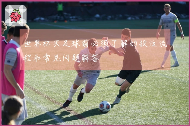 世界杯买足球前必须了解的投注流程和常见问题解答