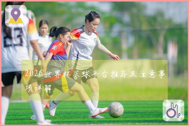 2026世界杯买球平台推荐及注意事项详解