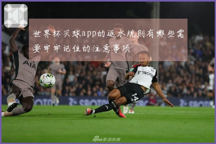 世界杯买球app的返水规则有哪些需要牢牢记住的注意事项