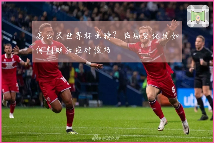 怎么买世界杯竞猜？临场变化该如何判断和应对技巧