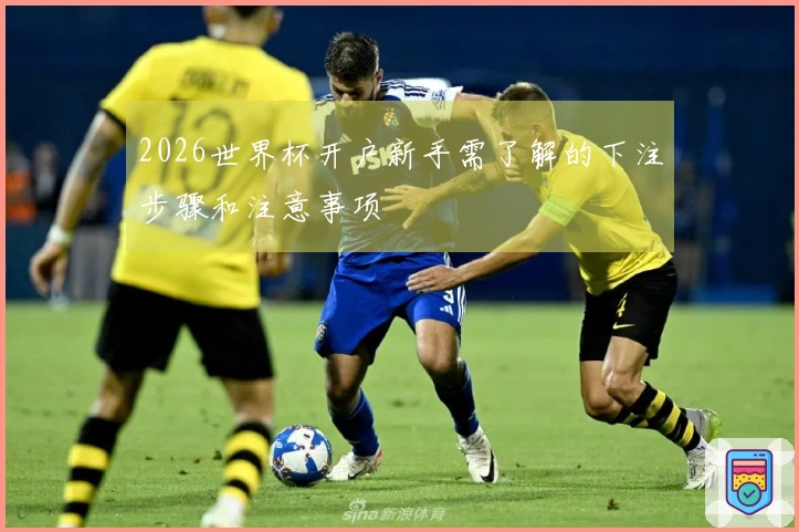 2026世界杯开户新手需了解的下注步骤和注意事项