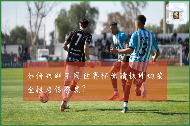 如何判断不同世界杯竞猜软件的安全性与信誉度？