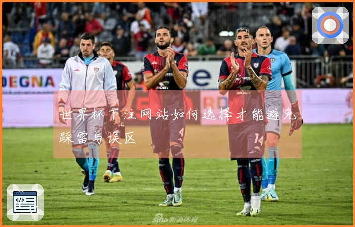 世界杯下注网站如何选择才能避免踩雷与误区