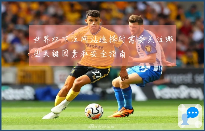 世界杯下注网站选择时需要关注哪些关键因素和安全指南