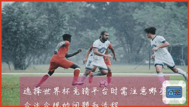 选择世界杯竞猜平台时需注意哪些合法合规的问题和流程