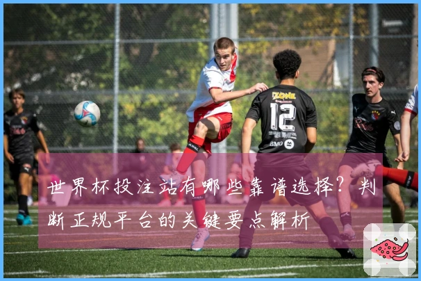 世界杯投注站有哪些靠谱选择？判断正规平台的关键要点解析