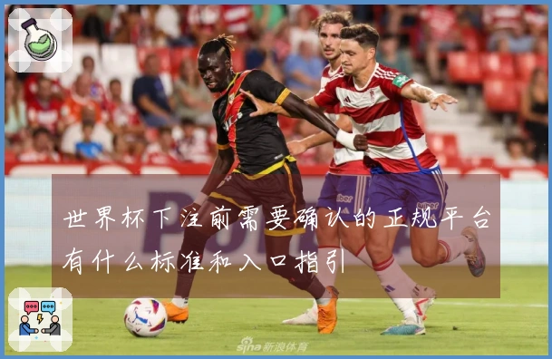 世界杯下注前需要确认的正规平台有什么标准和入口指引