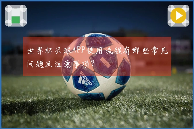 世界杯买球APP使用流程有哪些常见问题及注意事项？