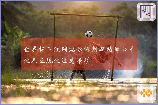 世界杯下注网站如何判断赔率公平性及正规性注意事项