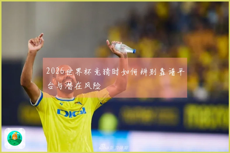 2026世界杯竞猜时如何辨别靠谱平台与潜在风险