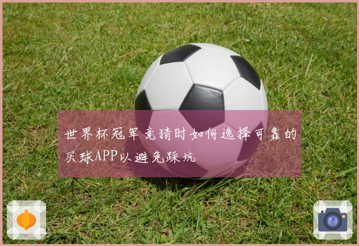 世界杯冠军竞猜时如何选择可靠的买球APP以避免踩坑