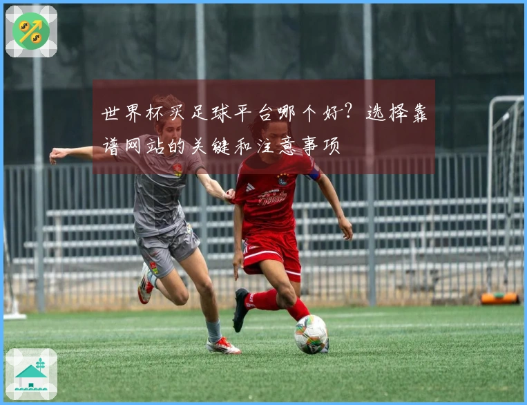 世界杯买足球平台哪个好？选择靠谱网站的关键和注意事项