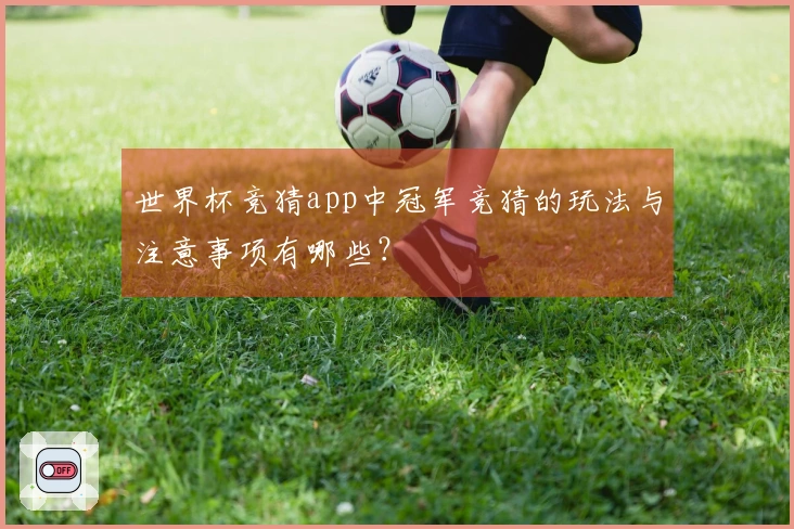 世界杯竞猜app中冠军竞猜的玩法与注意事项有哪些？