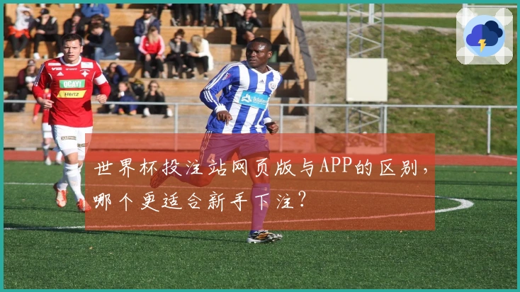 世界杯投注站网页版与APP的区别，哪个更适合新手下注？