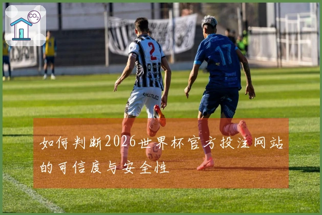 如何判断2026世界杯官方投注网站的可信度与安全性