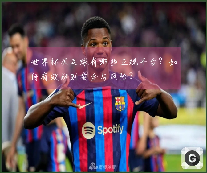 世界杯买足球有哪些正规平台？如何有效辨别安全与风险？