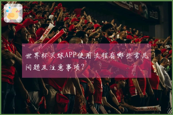 世界杯买球APP使用流程有哪些常见问题及注意事项？