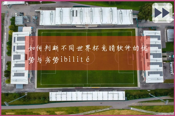 如何判断不同世界杯竞猜软件的优势与劣势ibilité