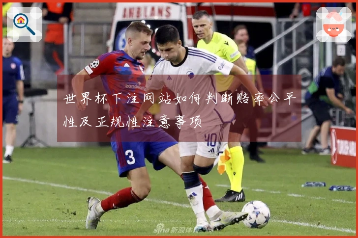 世界杯下注网站如何判断赔率公平性及正规性注意事项