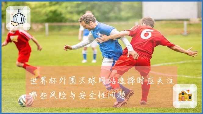 世界杯外围买球网站选择时应关注哪些风险与安全性问题