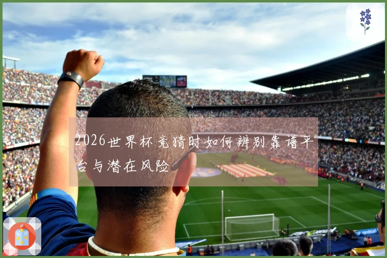 2026世界杯竞猜时如何辨别靠谱平台与潜在风险