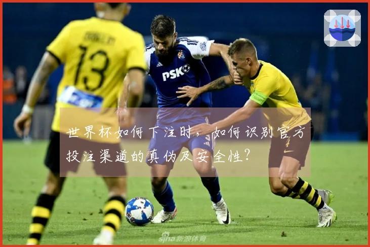 世界杯如何下注时，如何识别官方投注渠道的真伪及安全性？