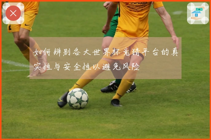 如何辨别各大世界杯竞猜平台的真实性与安全性以避免风险